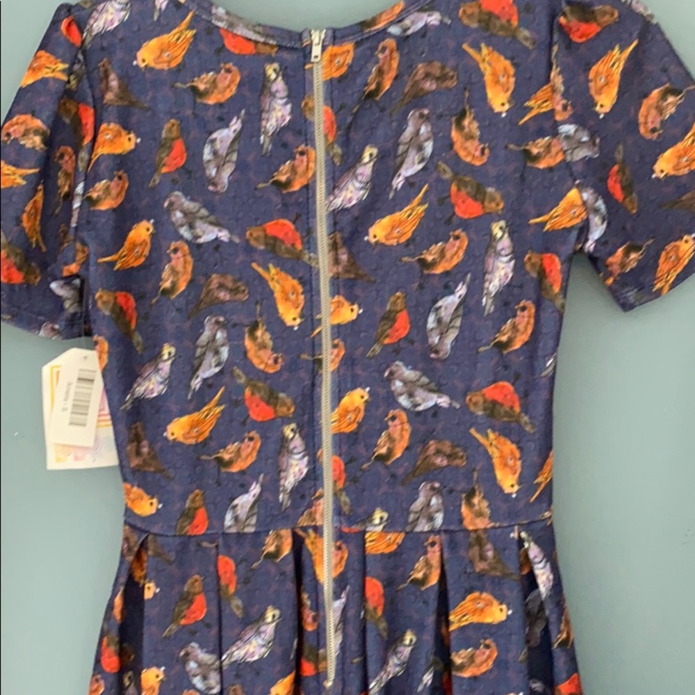 Lularoe Amelia - Picture 4 of 4